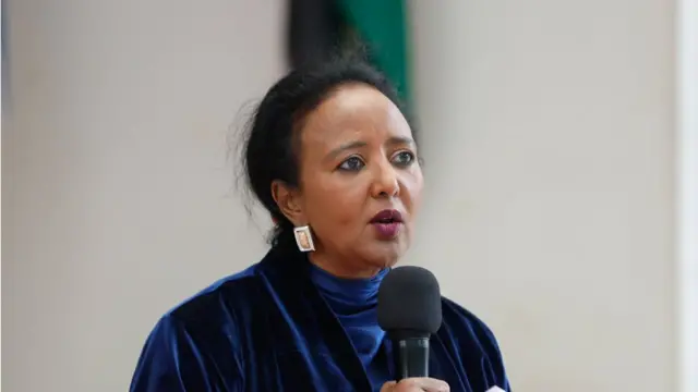 Amina C Mohammed