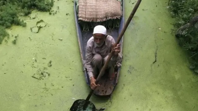 श्रीनगर