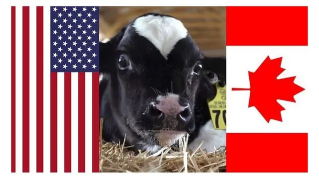 Dagaalka qabow ee Canada iyo Mareykanka