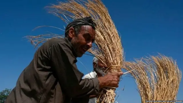 मोदी सरकार को किसान आंदोलन से हो रहा है कितना नुक़सान?