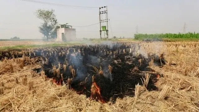 印度，空气，污染，地球，记者