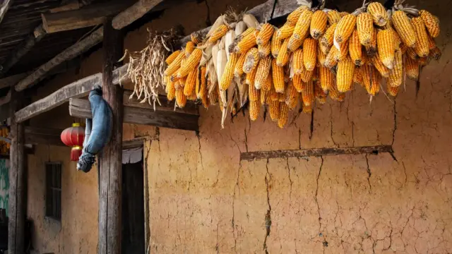 H'mong, Vietnam