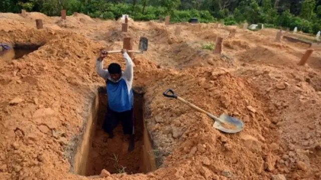 covid-19, virus corona