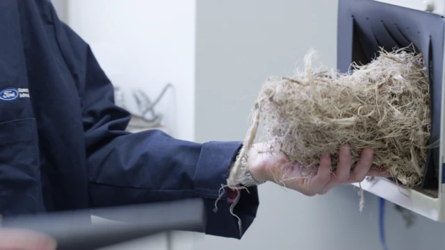 Fibra de agave en Ford