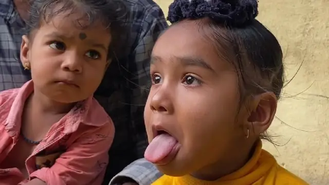 शिकलगरी