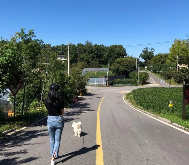 강아지와 대성동에서 산책하는 수빈 씨