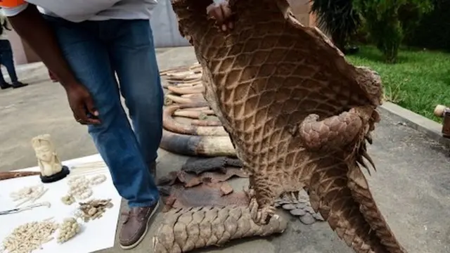 Мужчина с кожей панголина