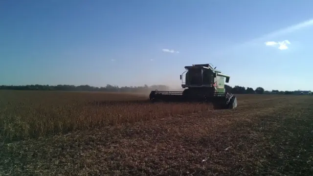 Cosechadora en un cultivo de soja