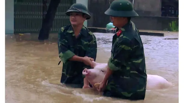 Mưa lụt gây thiệt hại cho nông nghiệp