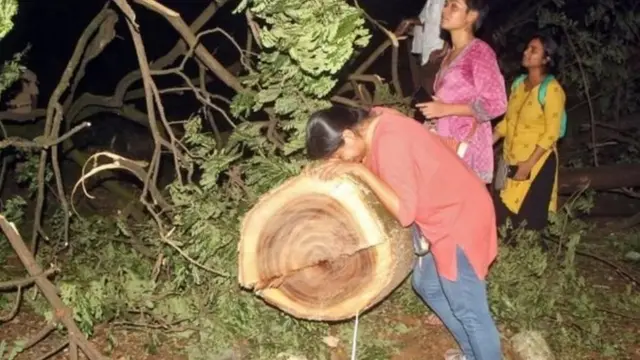 आरे के जंगल