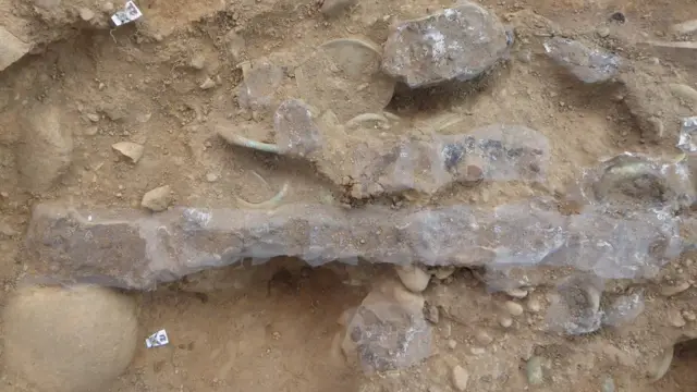 kınında duran kılıç