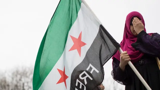 न्यूयॉर्क में सीरिया युद्ध के ख़िलाफ़ प्रदर्शन में शामिल एक लड़की सीरिया का झंडा लिए हुए