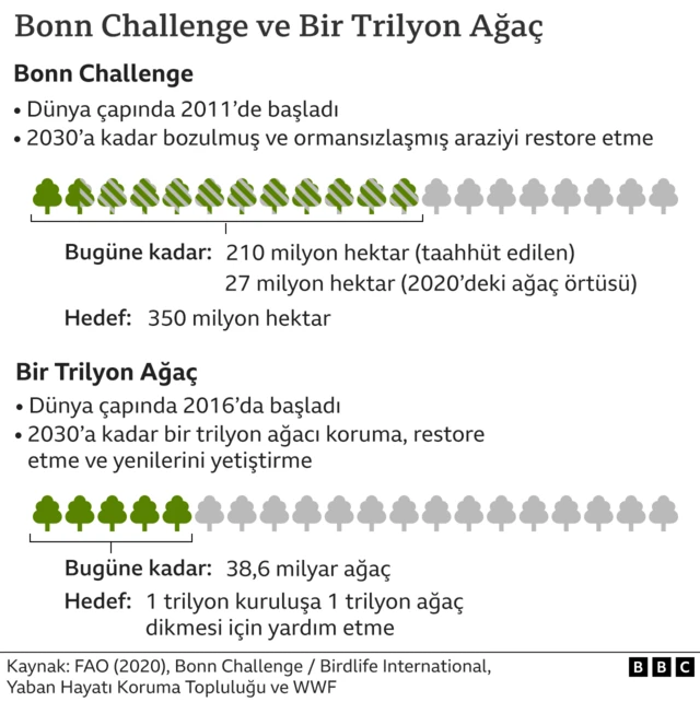 BONN CHALLENGE