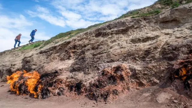 (图片来源:Kit Yeng Chan)