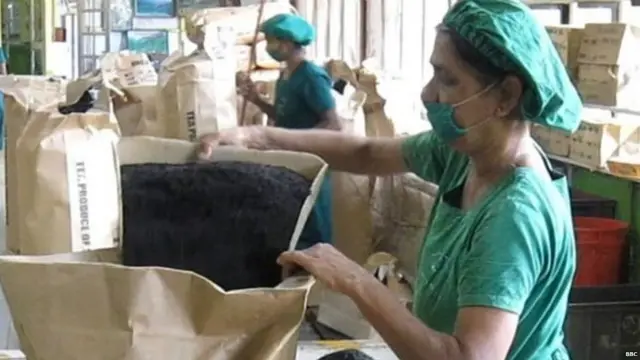 ශ්රී ලංකාවේ තේ