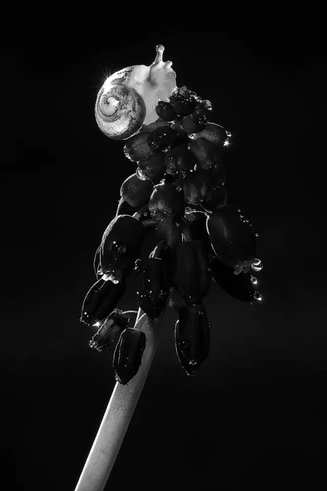 Мені вдалося передати кілька яскравих "сонячних крапель".