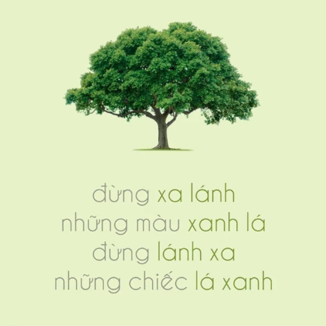 Hình từ một trang FB (@manfortree) vận động bảo vệ cây xanh ở VN