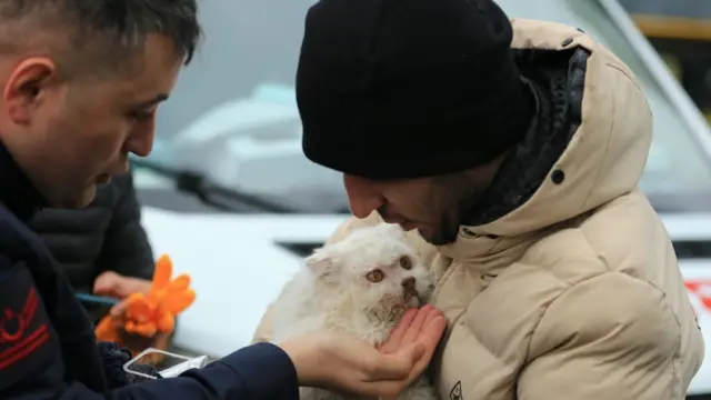 حیوانات هم له زلزلې خوندي نه دي پاتې شوي