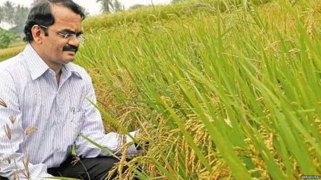 ਅਨਾਦੁਰਾਇ ਫਸਲਾਂ ਦਿਖਾਉਂਦੇ ਹੋਏ