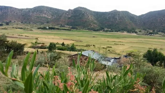 ሓይቂ መስሓል