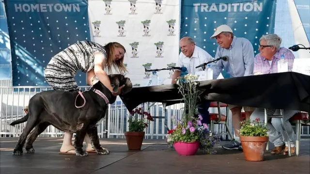 اما در پایان این مارتا بود که دل داوران را برد