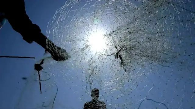 జాలర్లు వాడే వల