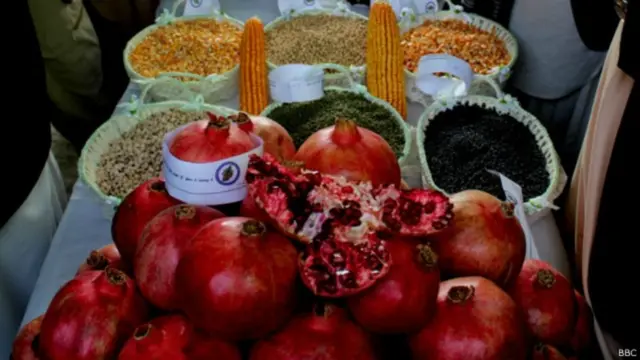 افغانستان قزاقستان ته وچې او تازه مېوې هم صادروي