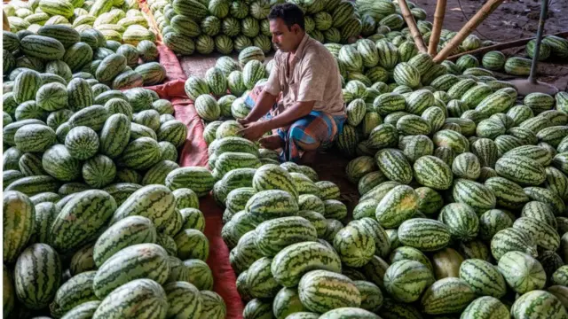 ঢাকায় একজন তরমুজ বিক্রেতা।