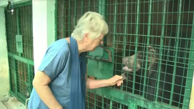 क्लेमेन्टीन पाऊस