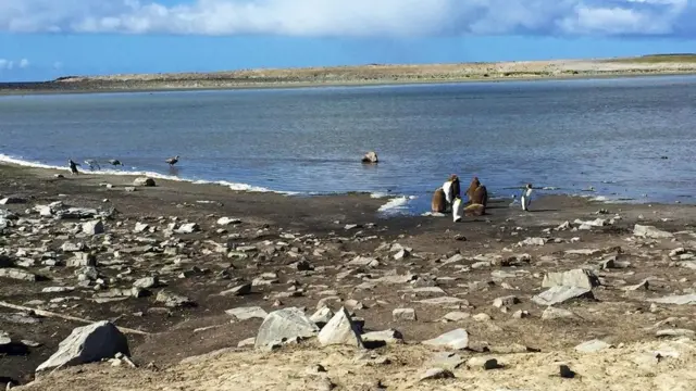 (图片来源:Lane Nieset)