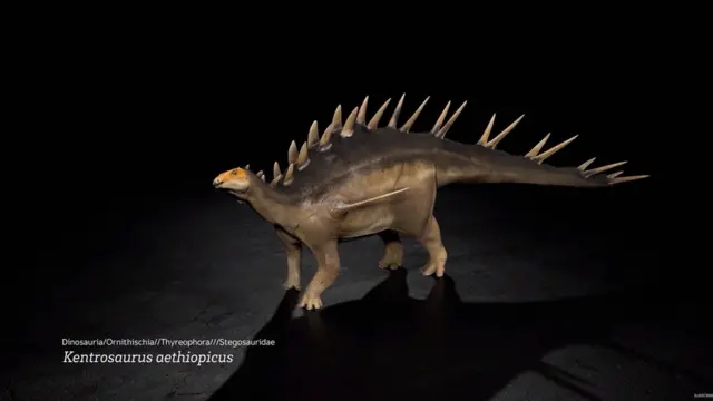 BBC Earth Unplugged