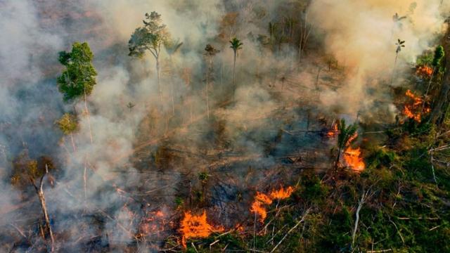 Fumaça e chamas sobem de um incêndio ilegal em uma reserva da floresta amazônica, ao sul de Novo Progresso, no estado do Pará, Brasil