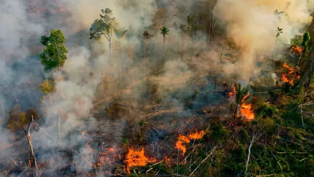 Fumaça e chamas sobembaixar betsulum incêndio ilegalbaixar betsuluma reserva da floresta amazônica, ao sulbaixar betsulNovo Progresso, no estado do Pará, Brasil