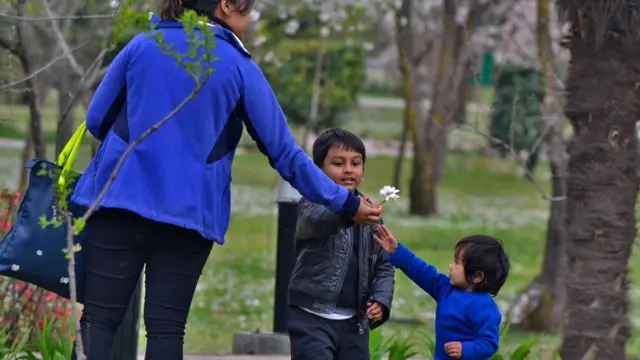 سری نگر میں موسمِ بہار