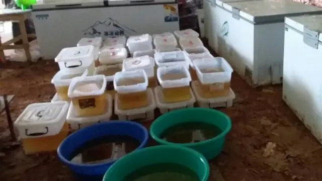 မူးယစ်ဆေးဝါး ချက်လုပ်တဲ့ ၆ နေရာ ရှာဖွေတွေ့ရှိခဲ့