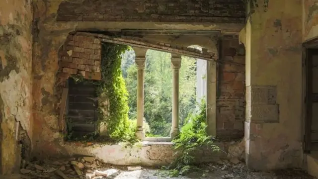 بعدسات الجمهور: النوافذ