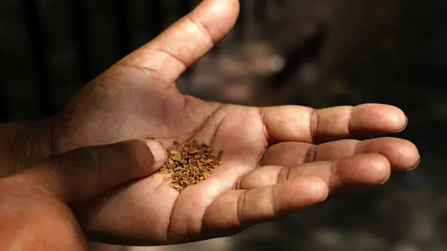 डॉक्टर तंबाकू से होने वाले कैंसर को लाइफ़स्टाइल से जोड़ते हैं