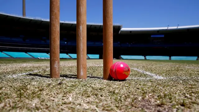 பிங்க் நிற பந்துகள்