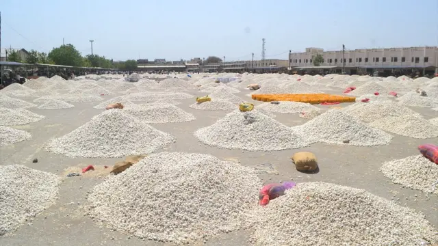 एक रुपये किलो लहसुन