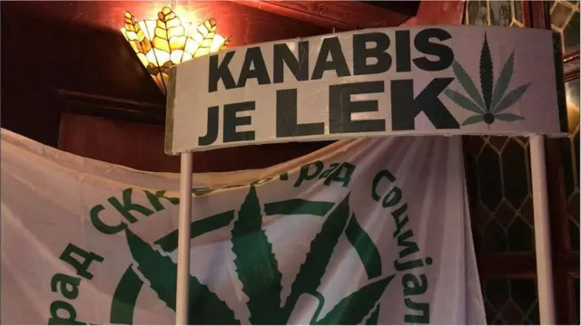 канабис легализација у медицинске сврхе