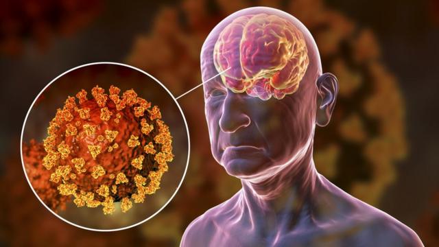 Brain power dropped among over-50s during Covid-19 pandemic, study shows -  BBC News