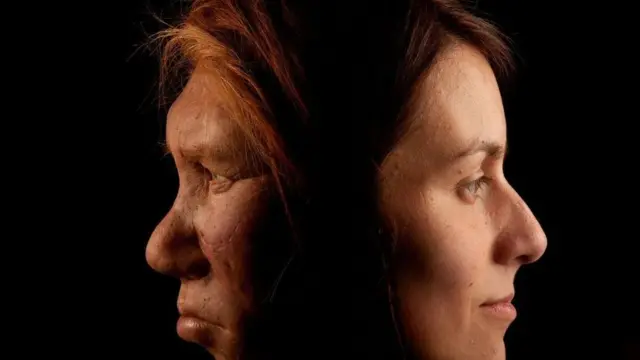 Ilustração mostra a comparação entre uma mulher neandertal e uma mulher homo sapiens moderna