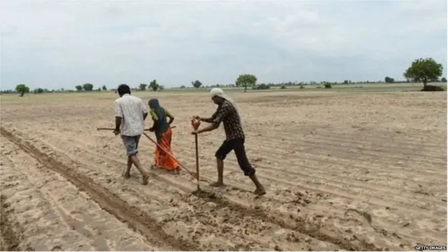 खेत में हल जोतते किसान