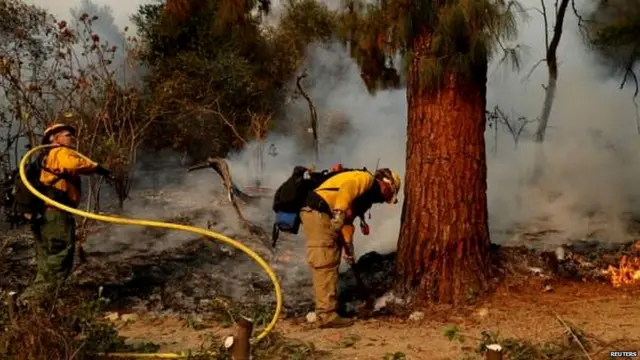अमरीका के जंगलों में लगी आग
