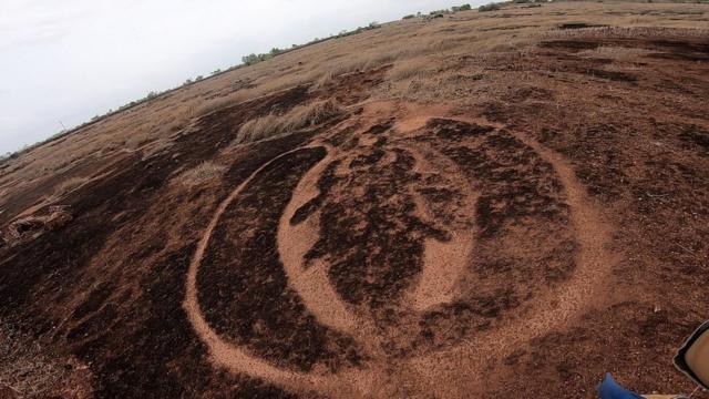 失われた文明の痕跡？ 岩に刻まれた絵、サメやクジラも インド - BBC