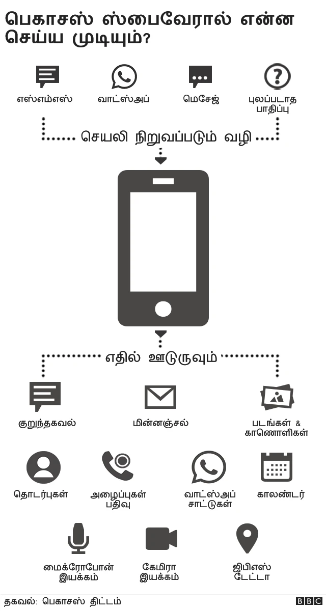 பெகாசஸ்