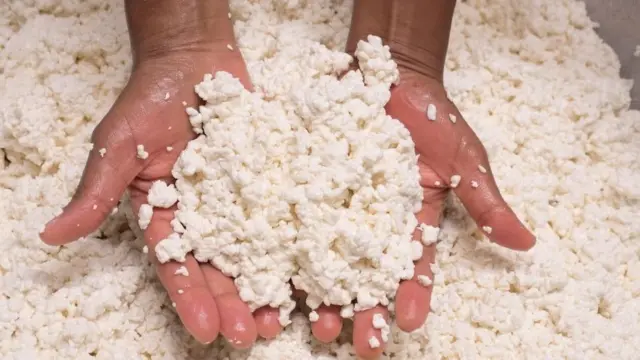 ተወዳጁ የአይብ ምርት