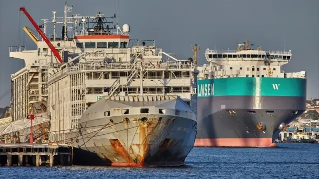 Panama bandıralı Gulf Livestock 1 isimli gemisi