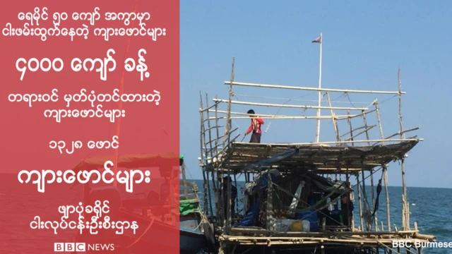 ပင်လယ်ပြင်ထဲက ကျားဖောင်များ