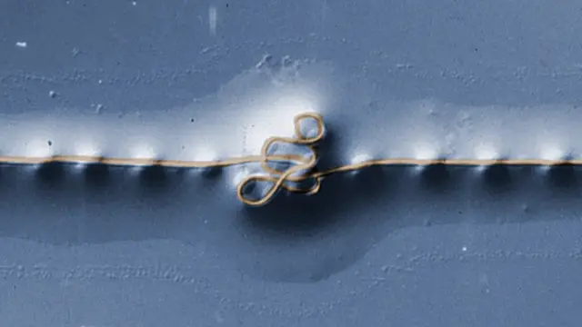 Спираль паутины